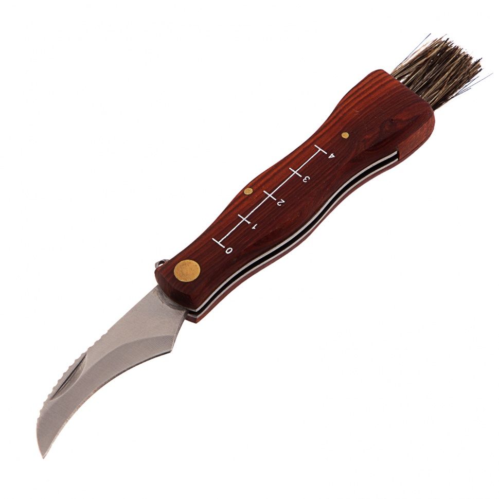 Нож грибника складной, 145 мм, деревянная рукоятка, Palisad 